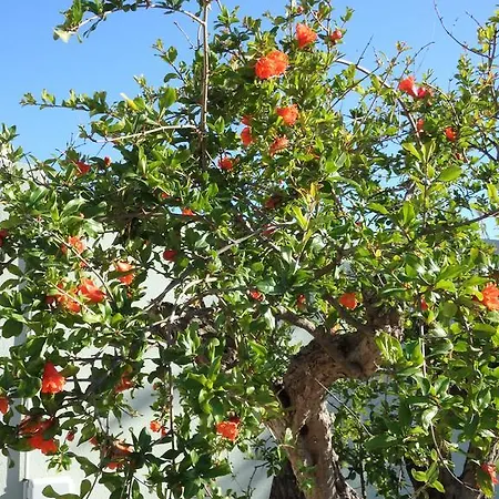 דירה Cite Du Sel *