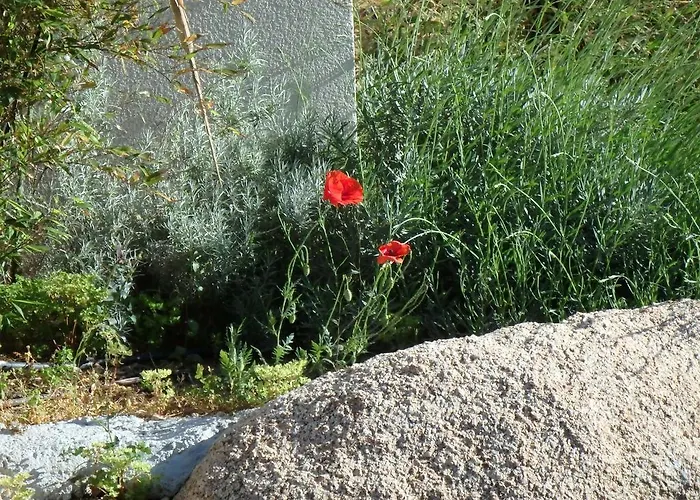 Cité Du Sel Appartamento *