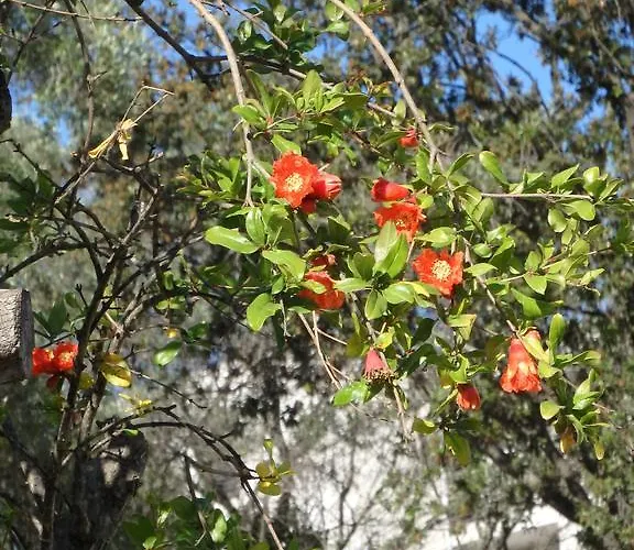 Cité Du Sel * Porto Vecchio