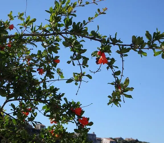 Appartamento Cité Du Sel *