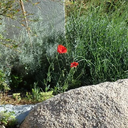 Cite Du Sel Apartamento *