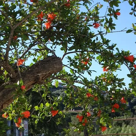 Cite Du Sel Apartment