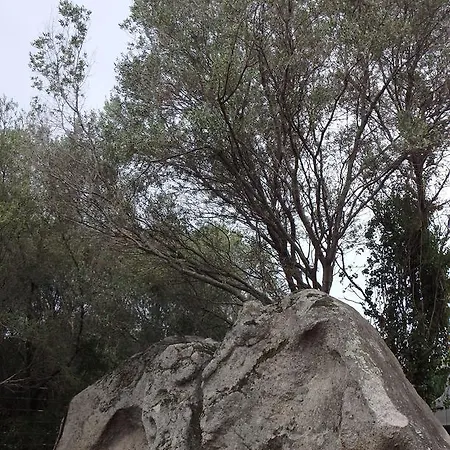 Cite Du Sel Apartamento Porto-Vecchio (Corsica)