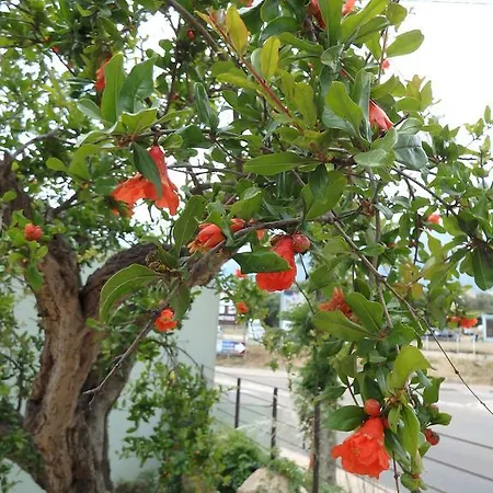 Cite Du Sel Apartment *