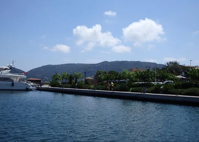 Cite Du Sel 公寓 维琪奥港