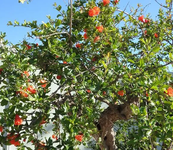 Διαμέρισμα Cite Du Sel *