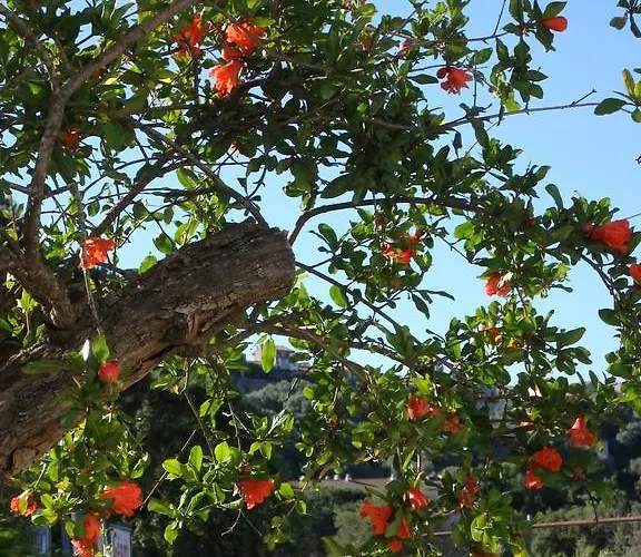 Cite Du Sel Διαμέρισμα