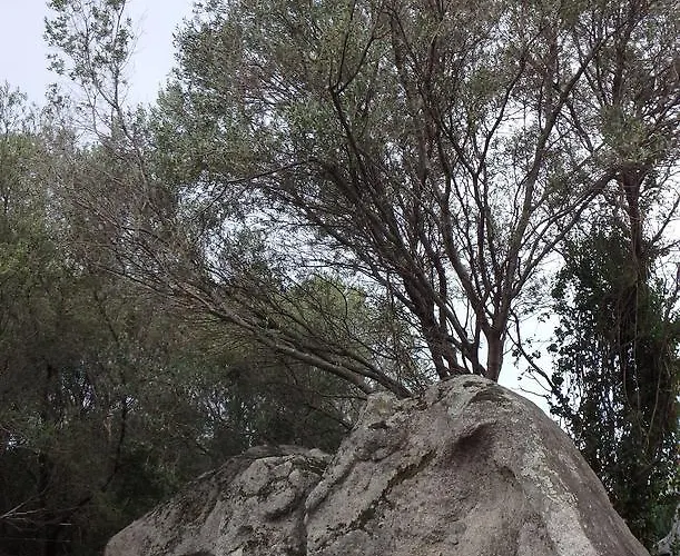 Cite Du Sel Διαμέρισμα Πόρτο Βέκιο