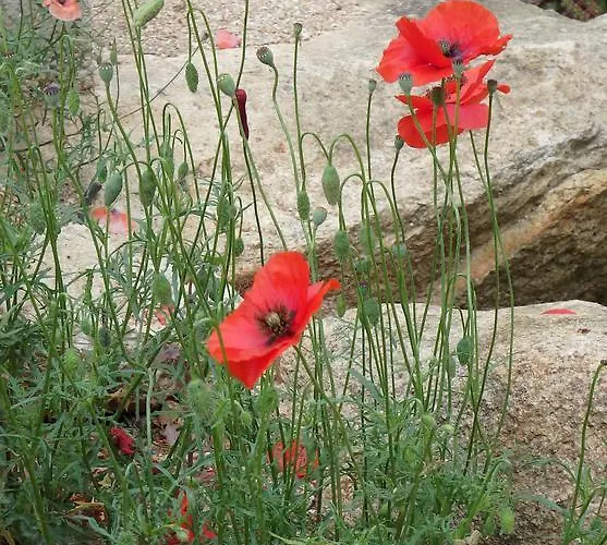 Διαμέρισμα Cite Du Sel *