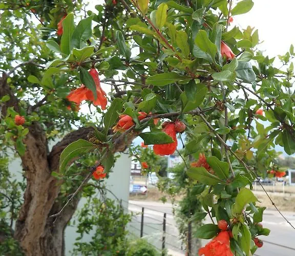 Cite Du Sel 公寓 *